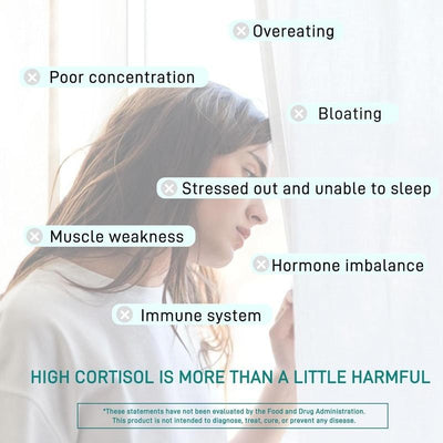 15 in 1 Magnesium Complex